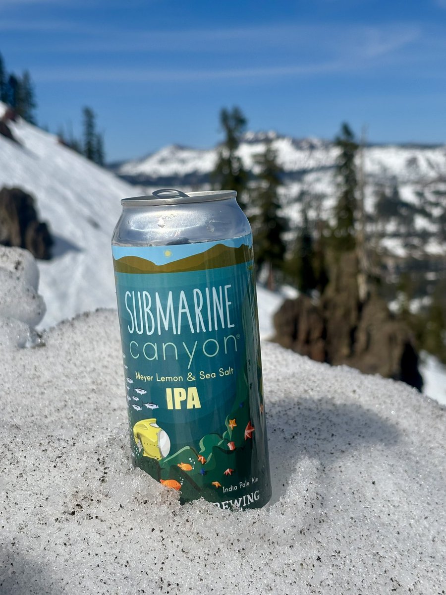 Discretion Brewing tweet media