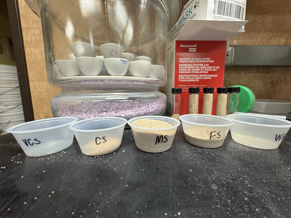 soilsdiva tweet media