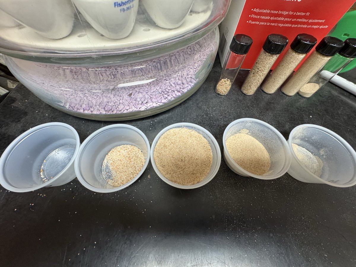 soilsdiva tweet media