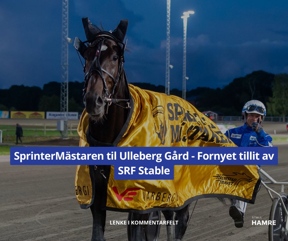 Stall Hamre tweet media