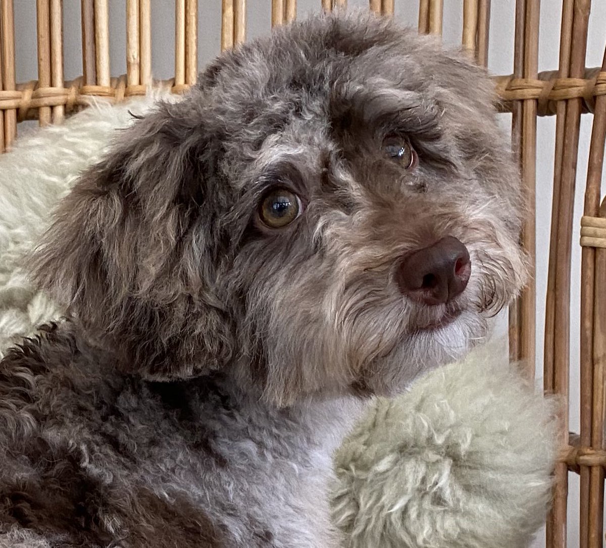 BeMoreBob tweet media