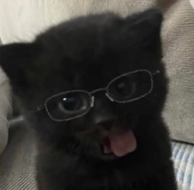 acervootinho's tweet photo. :p https://t.co/MjtjaFLvra