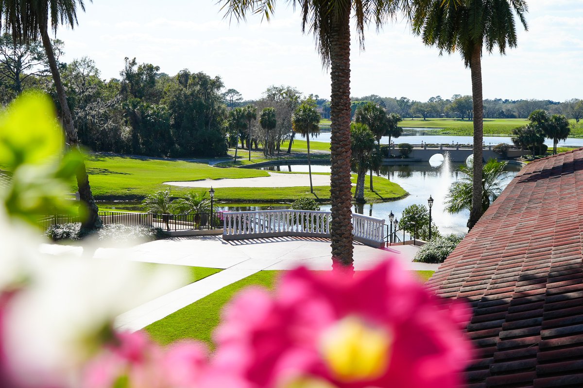 Mission Resort + Club tweet media