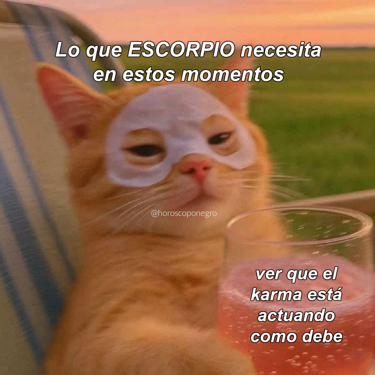 Lo necesitamos con urgencia 😅😂