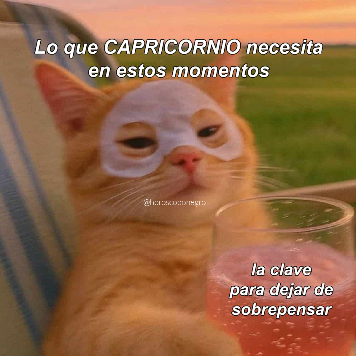 ▲CAPRICORNIO▲ tweet media