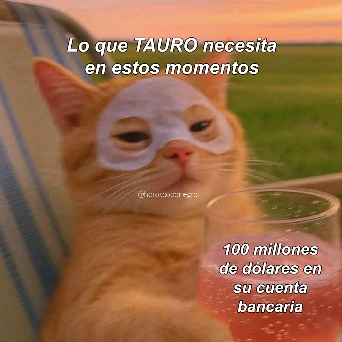 Lo necesitamos con urgencia 😅😂