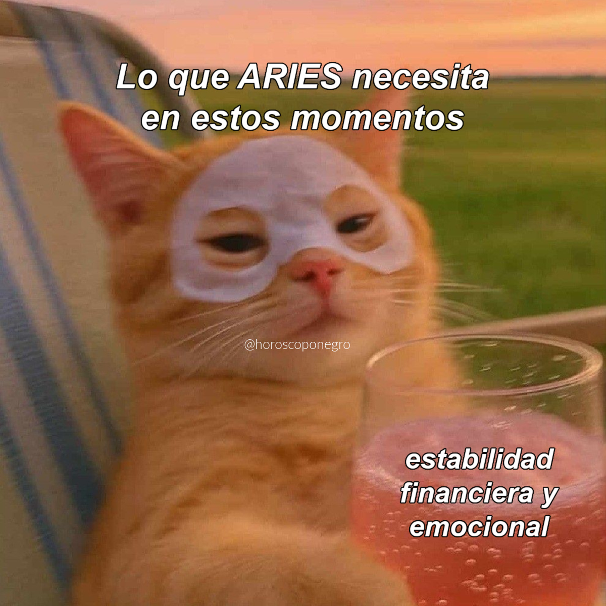 ▲ARIES▲ tweet media