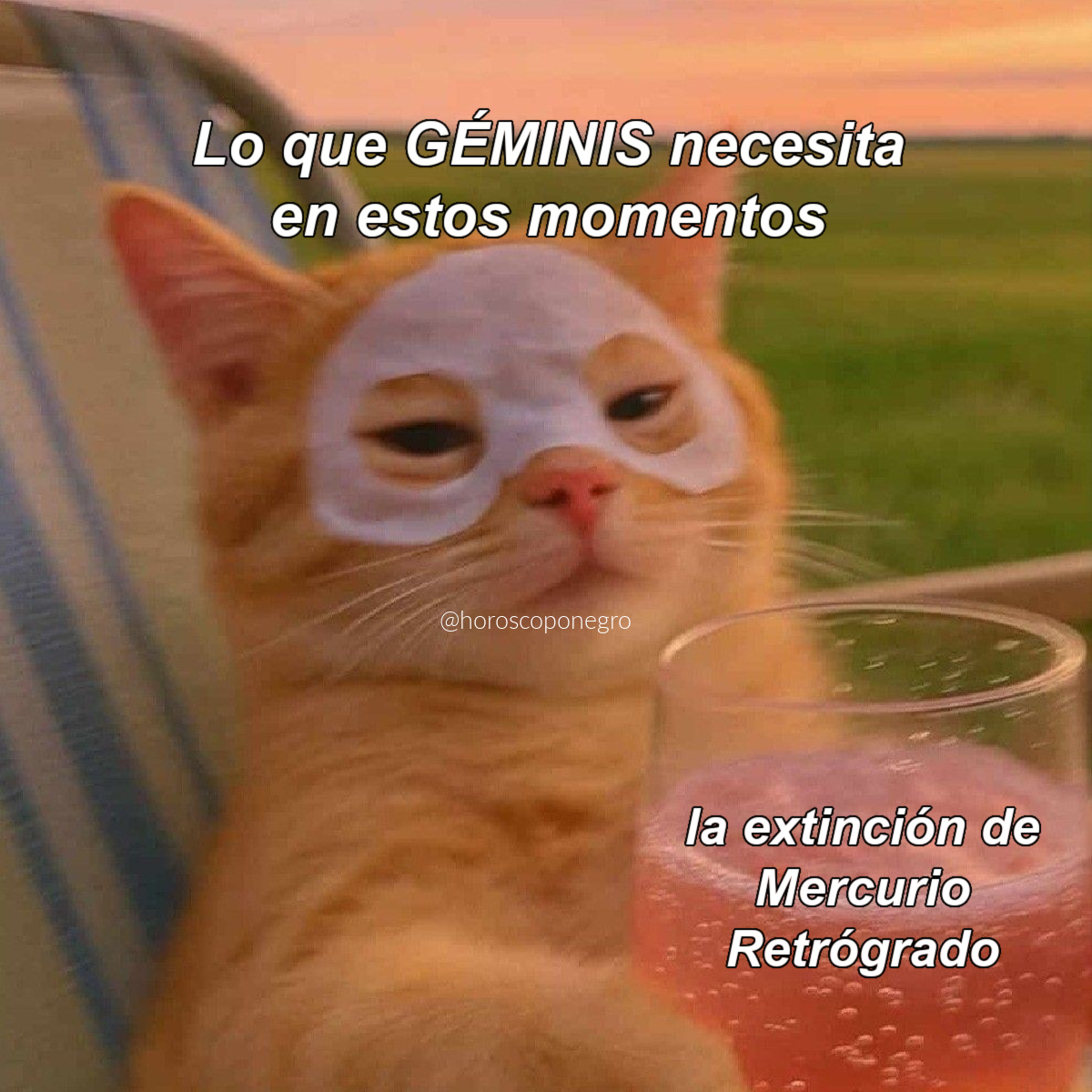 ▲GÉMINIS▲ tweet media
