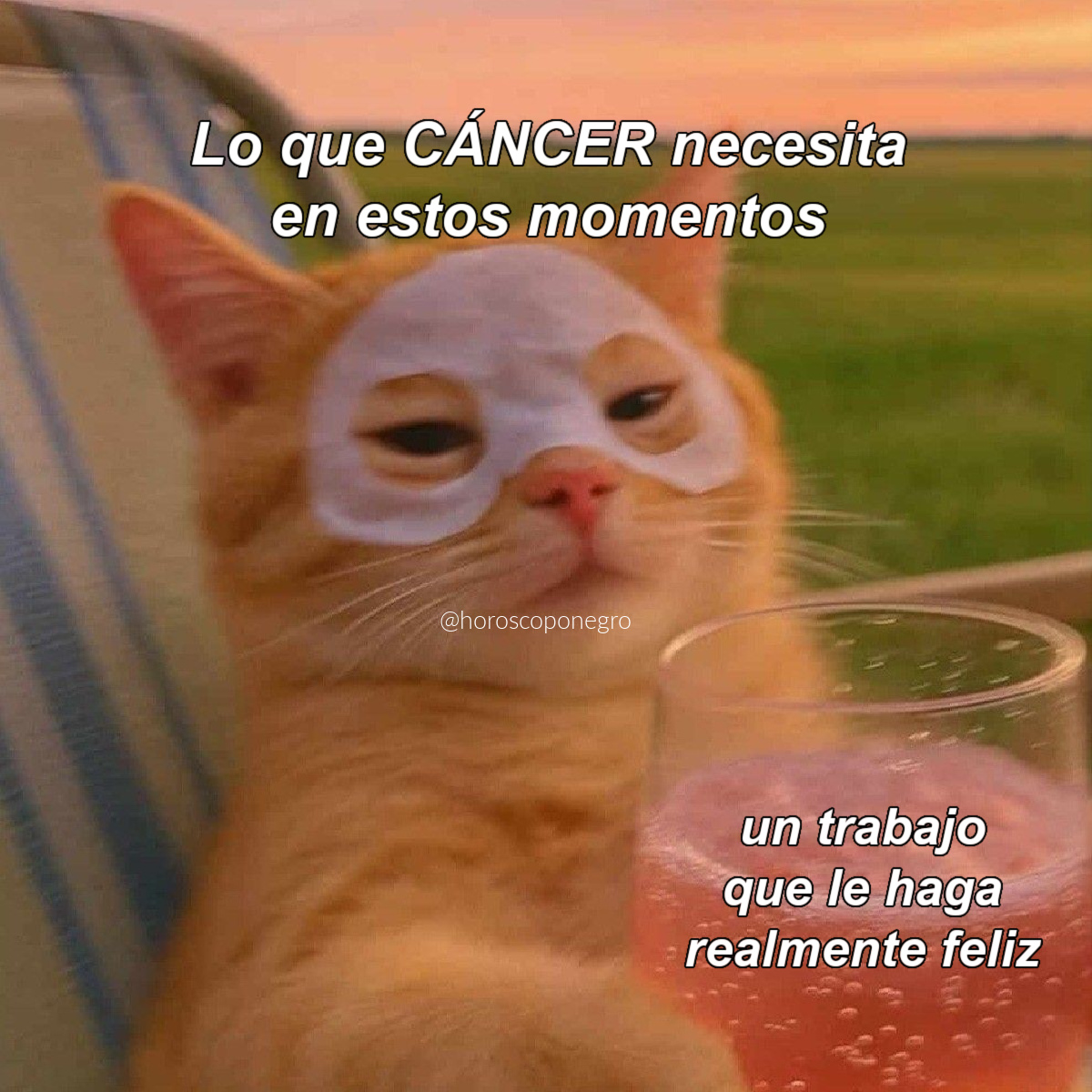 Lo necesitamos con urgencia 😅😂