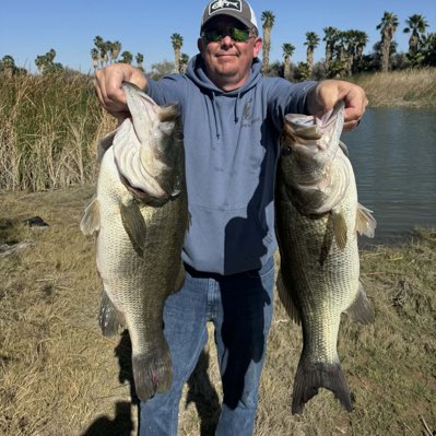 Dieletric tweet media