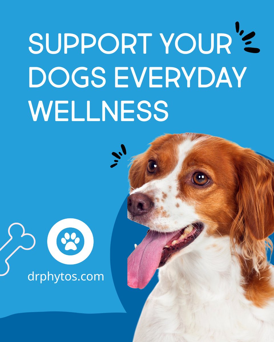 DrPhytos's tweet photo. Healthy pup, happy heart.  Give your dog the care they deserve with, because every wag tells a story of love.
👉 https://t.co/e3hvWmPXxJ
.
.
.
.
#DrPhytos #DogNutrition #PetWellness #HealthyDogs #DogHealth #PetSupplements #WholePetCare #DogLovers #FurBabyCare https://t.co/wJdaKAU2Tr