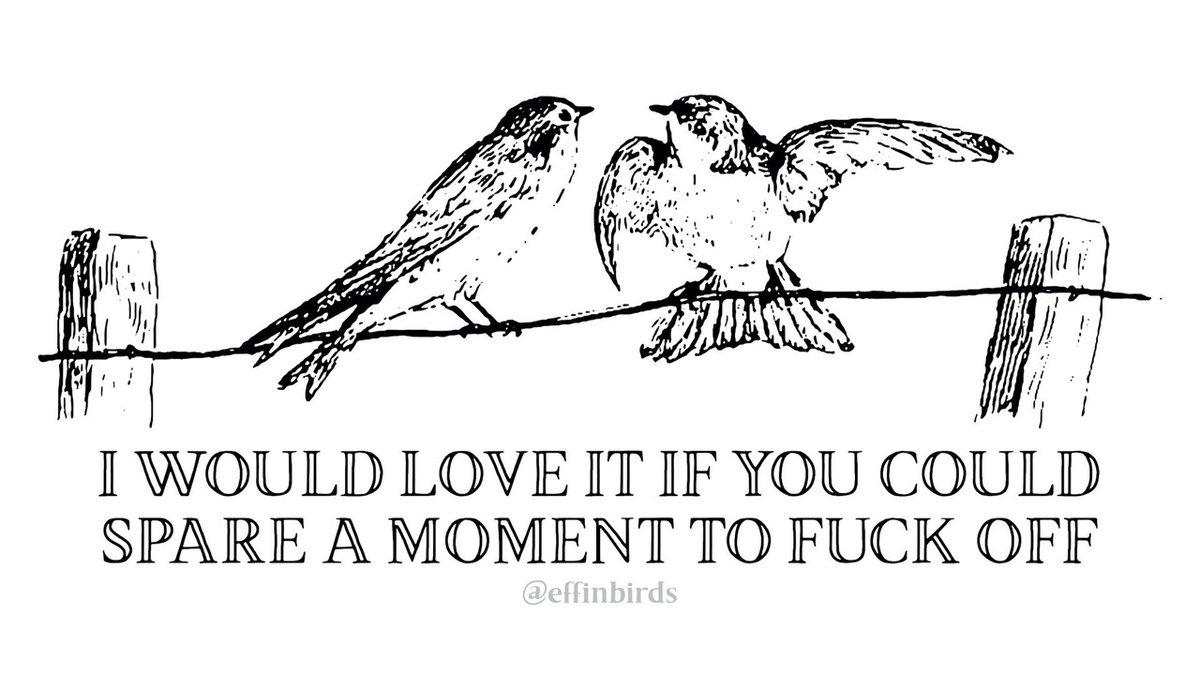 Effin' Birds tweet media