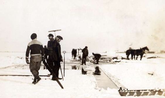 Mark Robinson tweet media