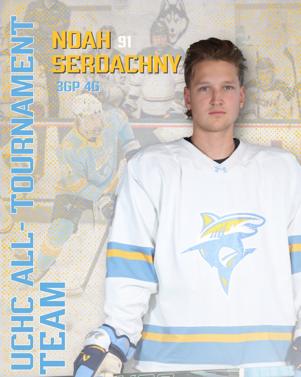 LIU Men’s Ice Hockey tweet media