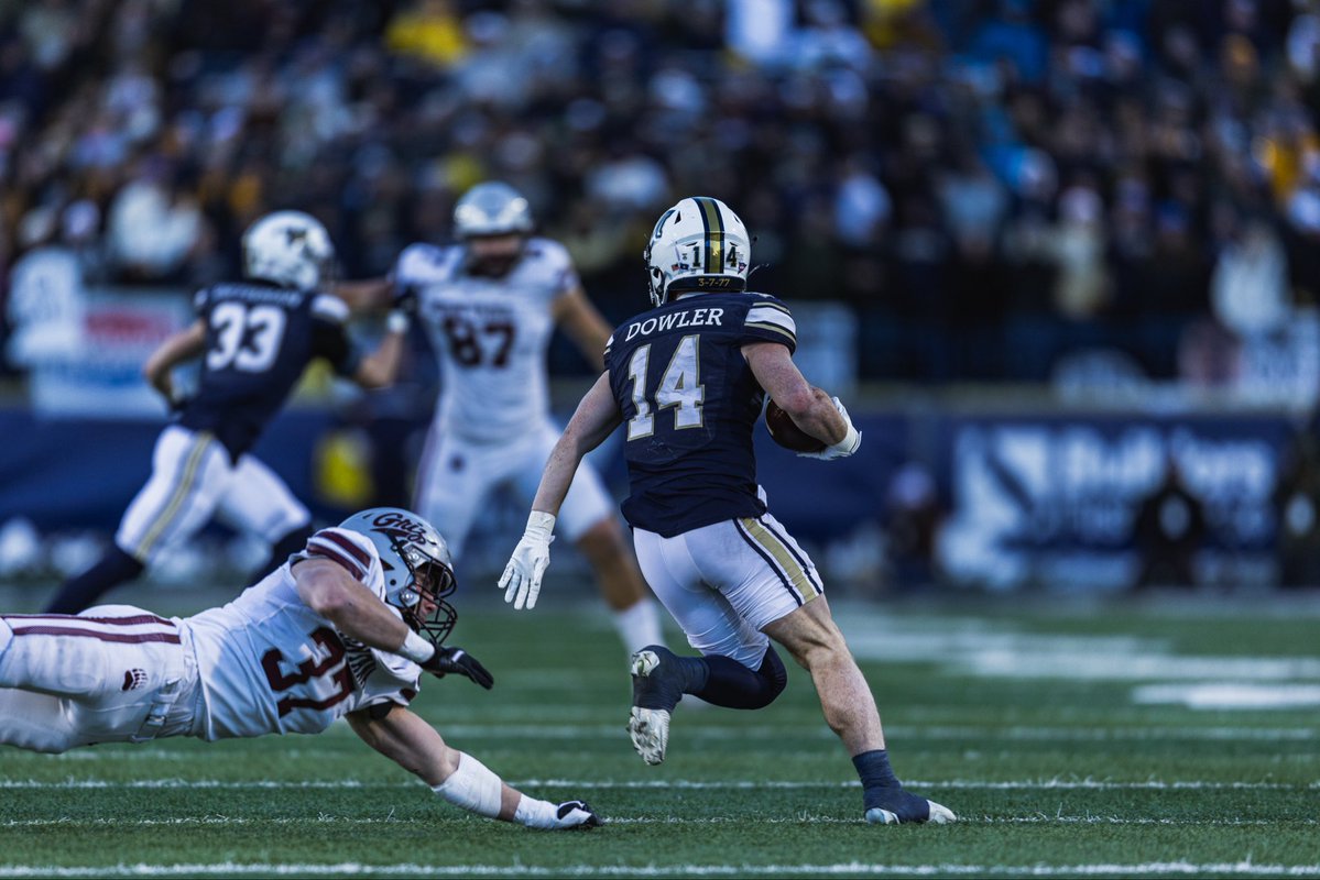 Taco Dowler tweet media