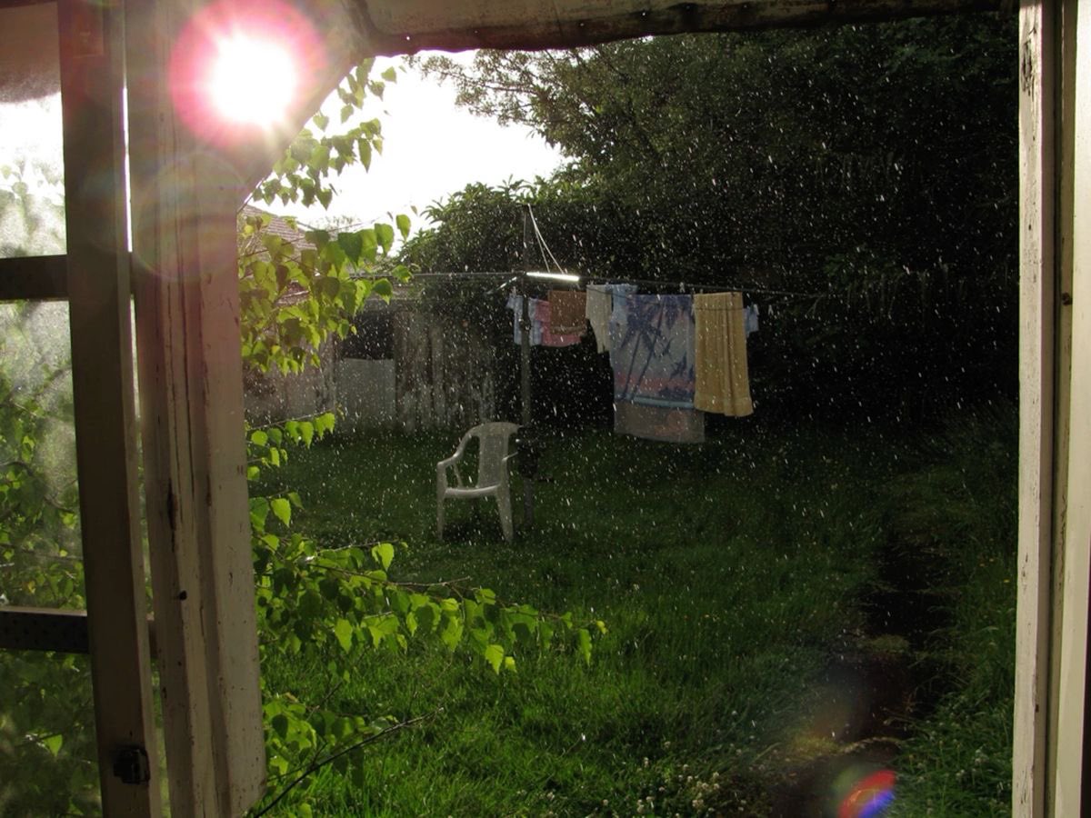 dreamland tweet media