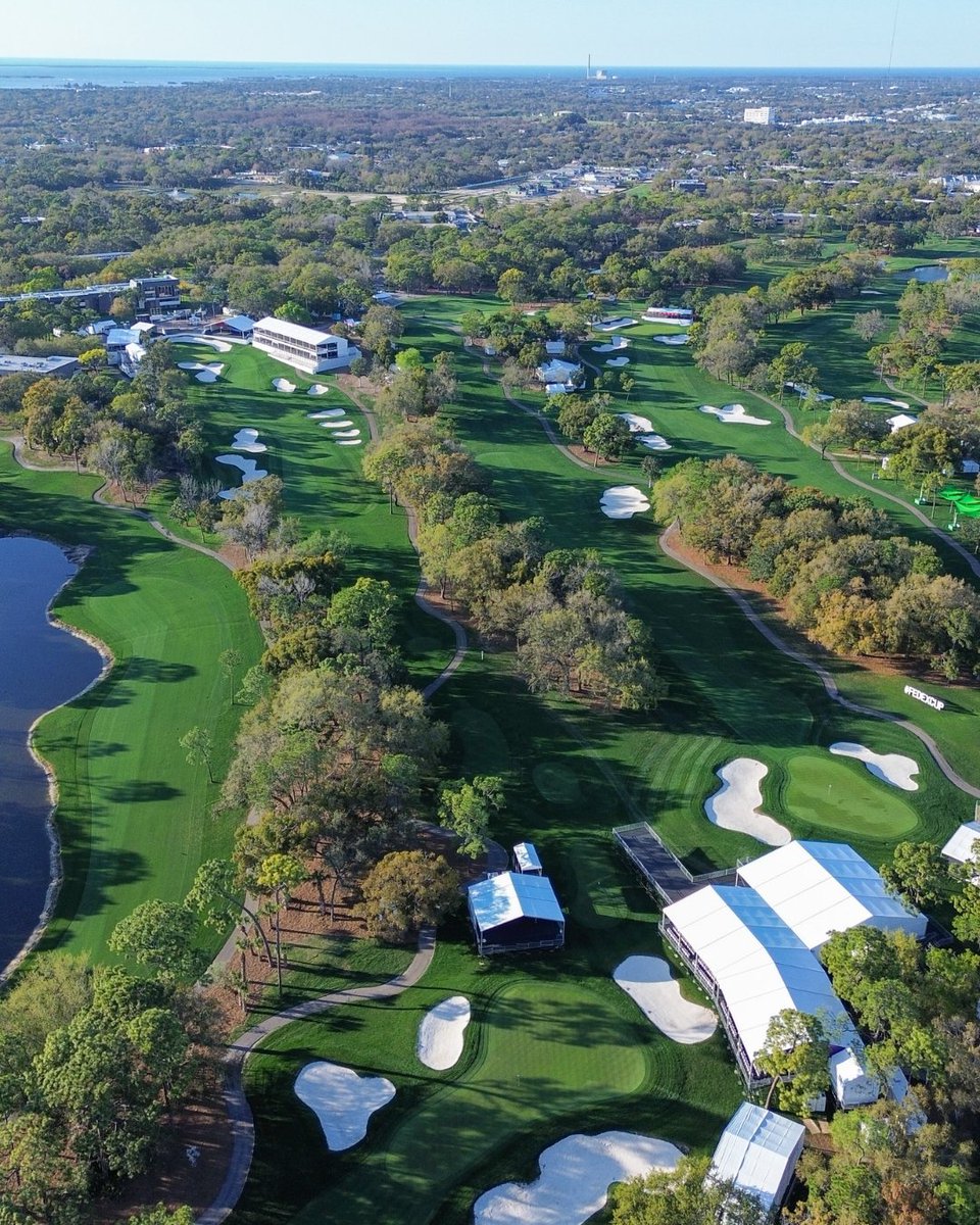 Innisbrook Resort tweet media