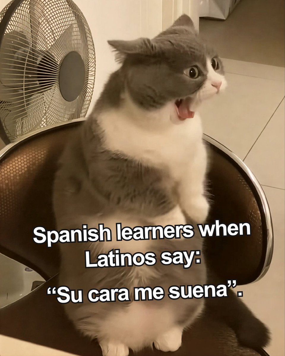 Academia de Idiomas Smart tweet media