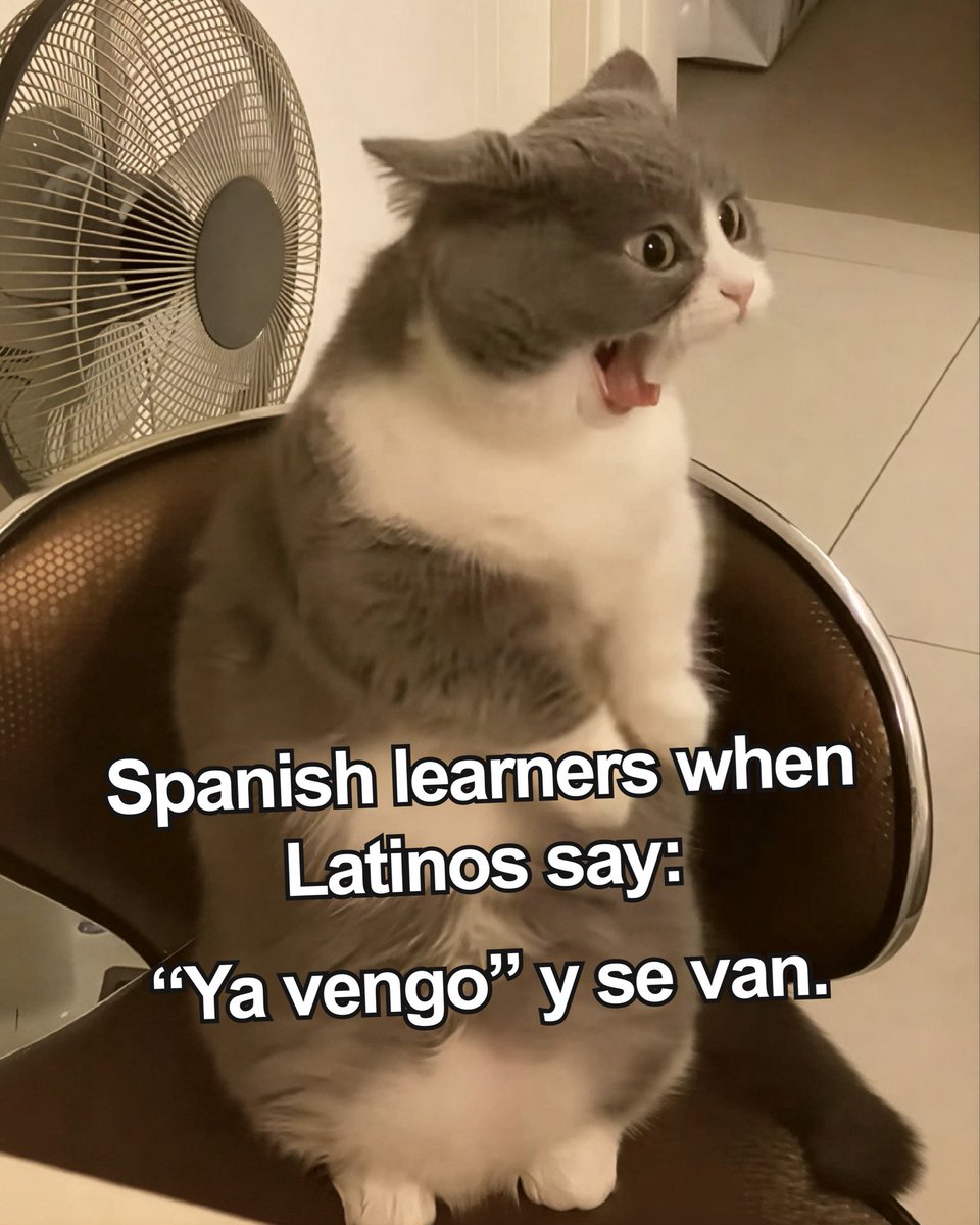 Academia de Idiomas Smart tweet media