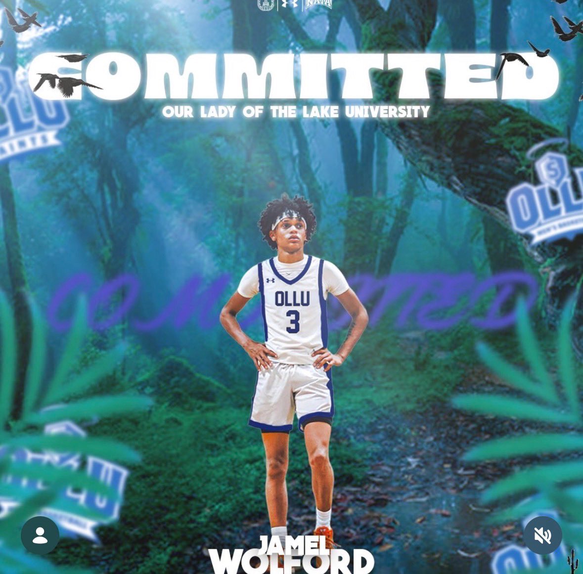 Tim Littlefield tweet media