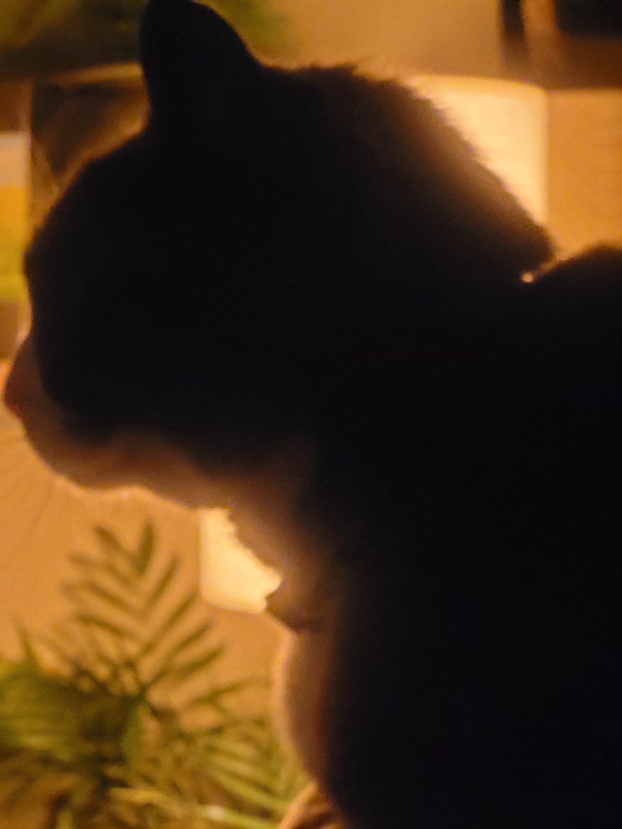 hobbesattack tweet media