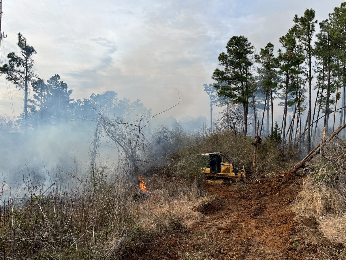 MS Forestry Commission tweet media