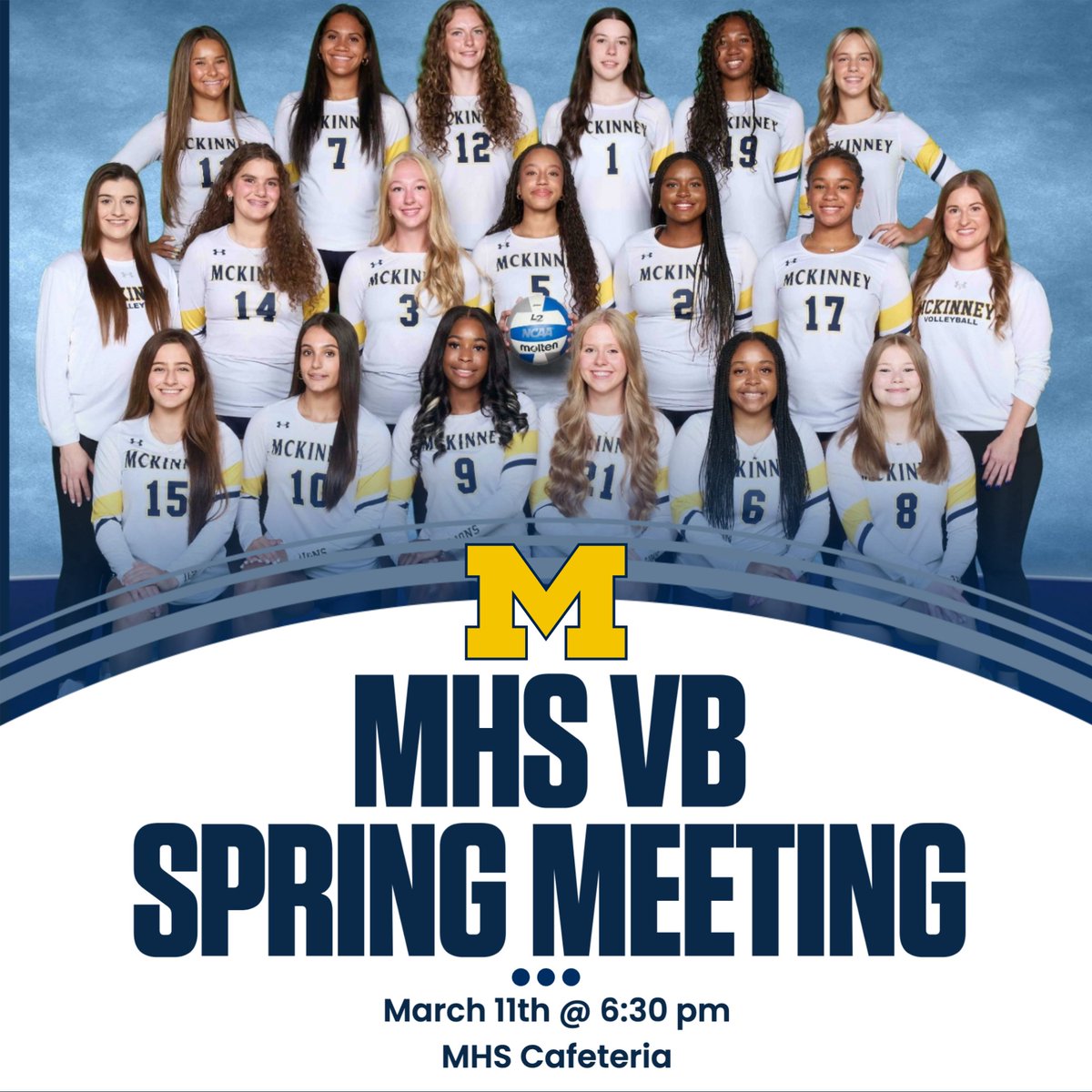 MHS Lion Volleyball tweet media