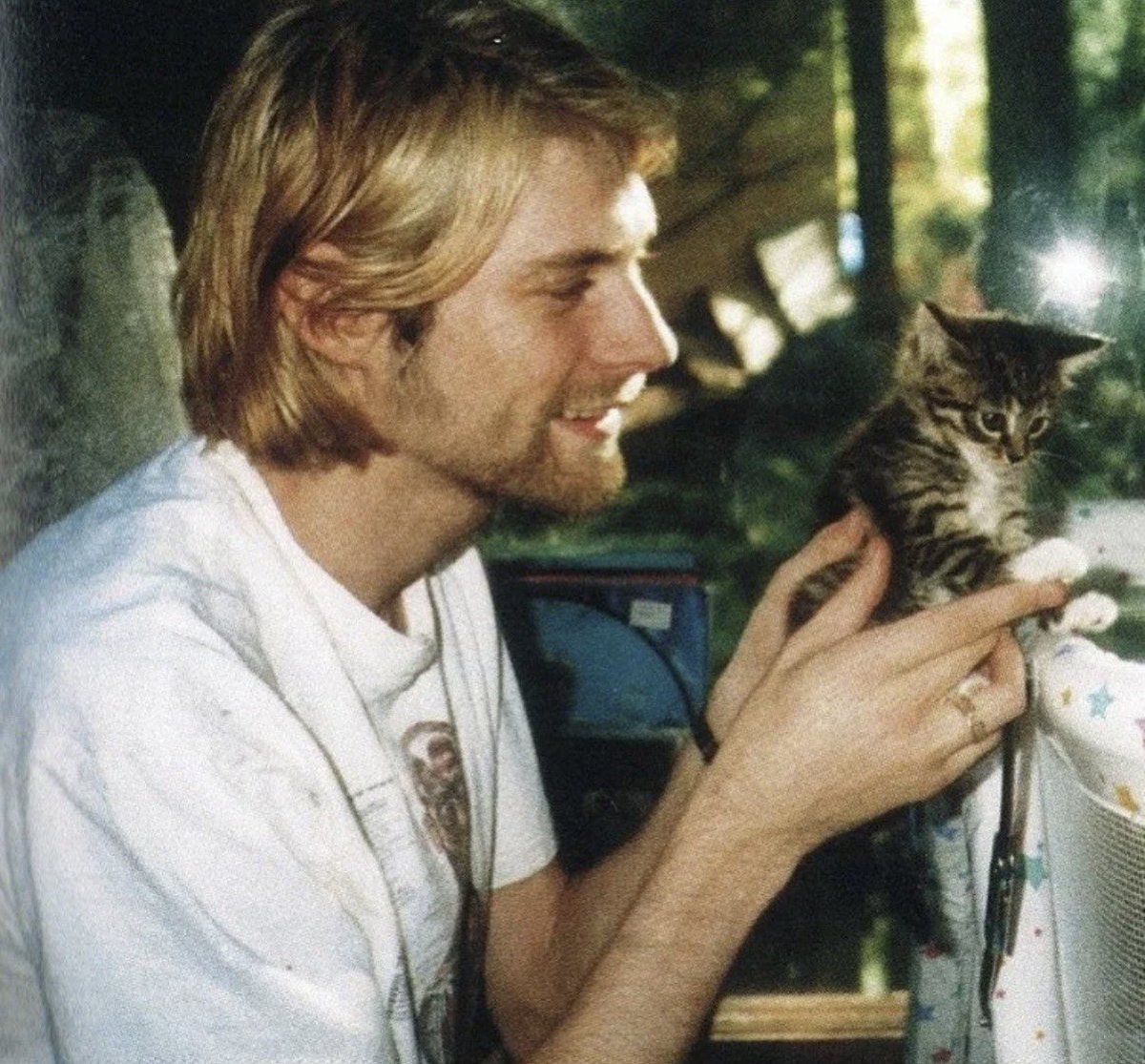 allison harvard burke tweet media