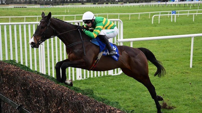 Trackside Tipster tweet media