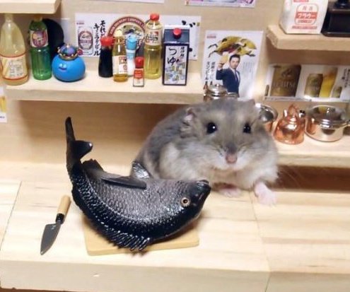 hamjin bot tweet media