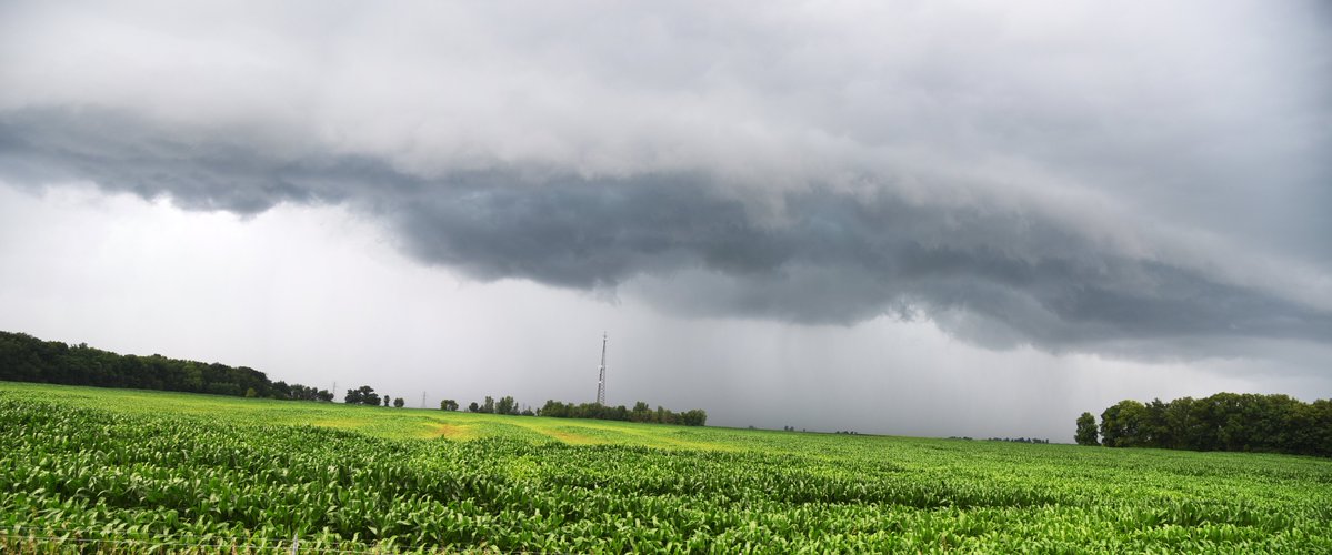 Purdue Extension tweet media