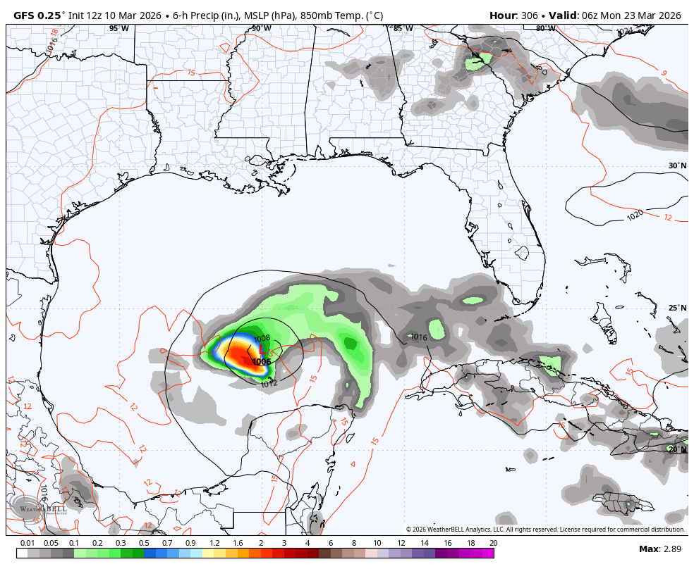 Bryce Shelton tweet media