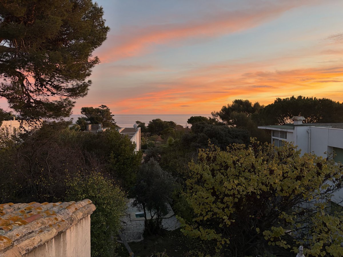 Simpsonpowa tweet media