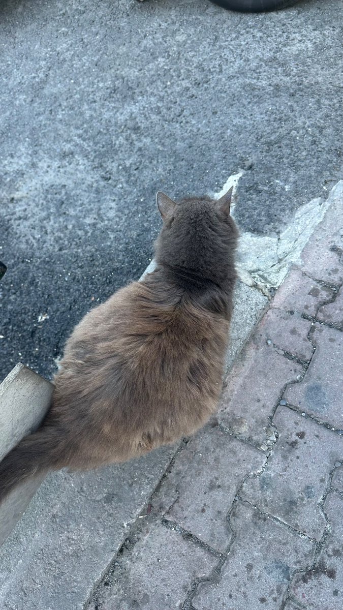 Hem sisko hem sac dipleri gelmis