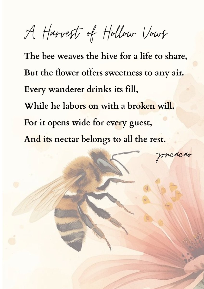 reynbow02_'s tweet photo. #MidnightPoetry https://t.co/KyFQv03g7O