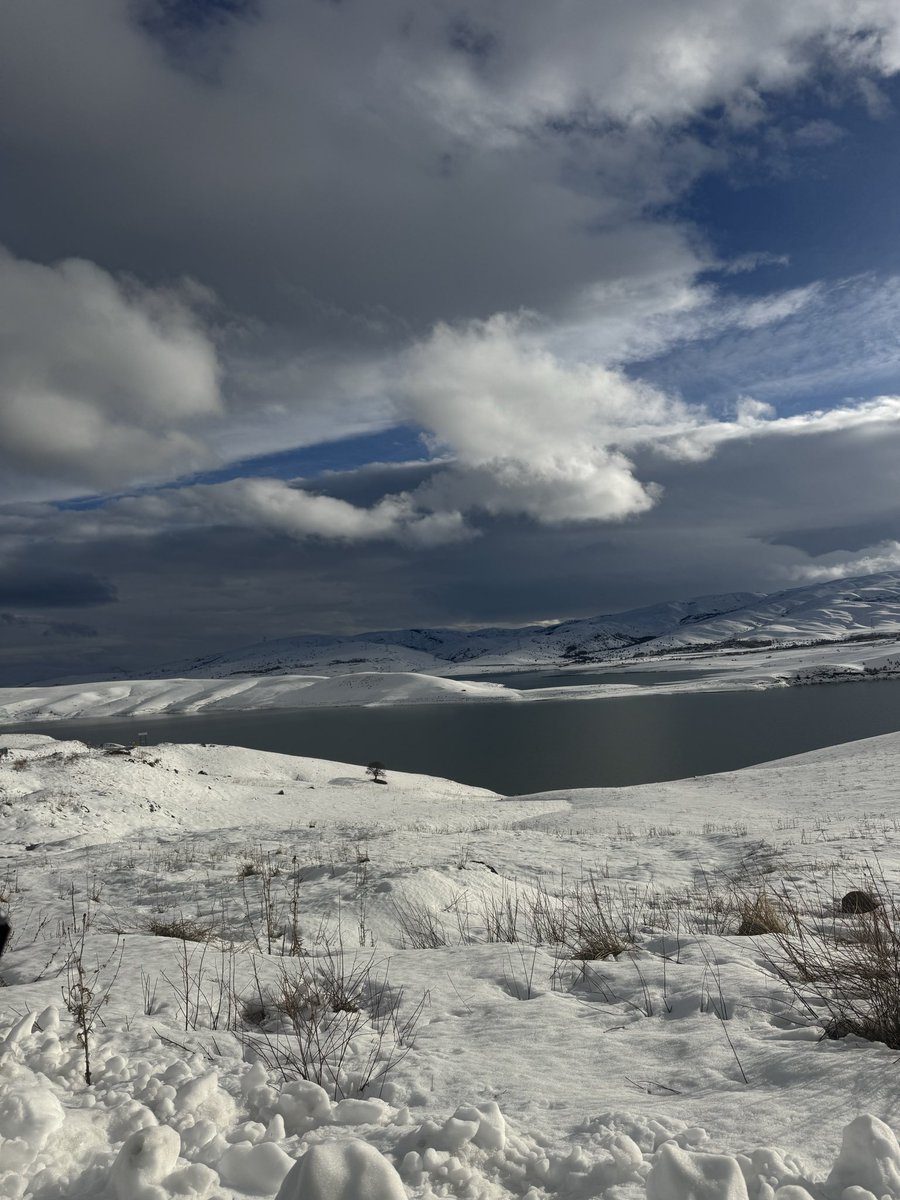 ÖHD MUŞ tweet media