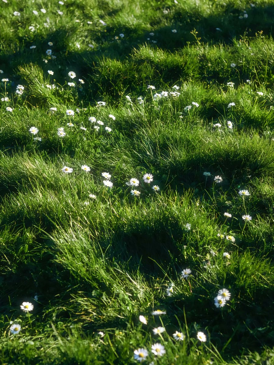 World Click (@worldclick56) on Twitter photo 