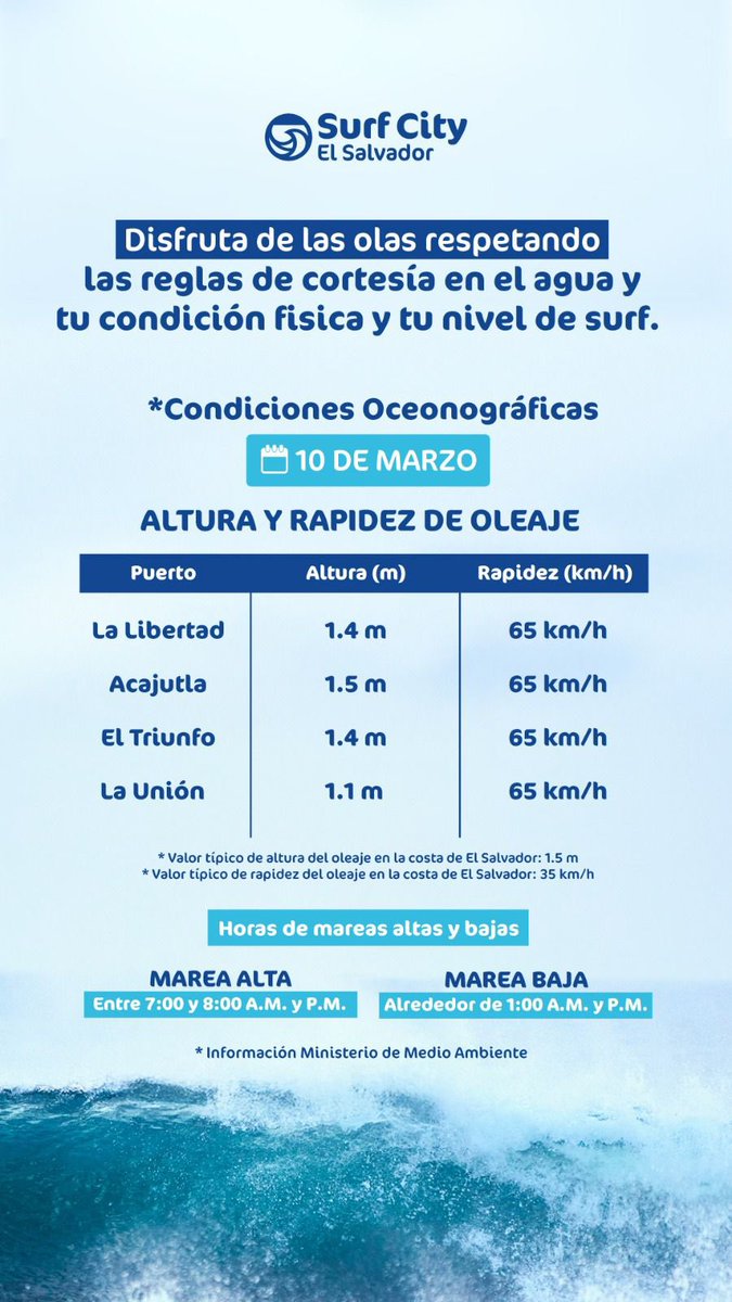 Surf City tweet media