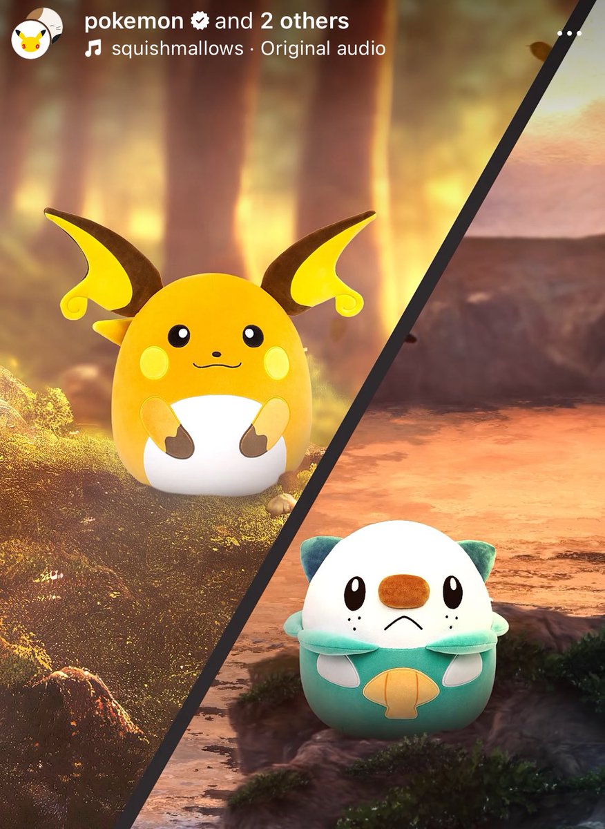 Oshawott tweet media