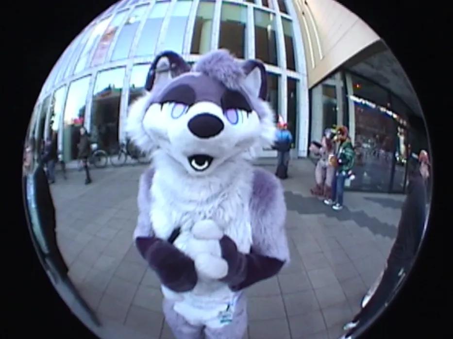 Lucas oonRacc 🔜 LVFC, FWA tweet media