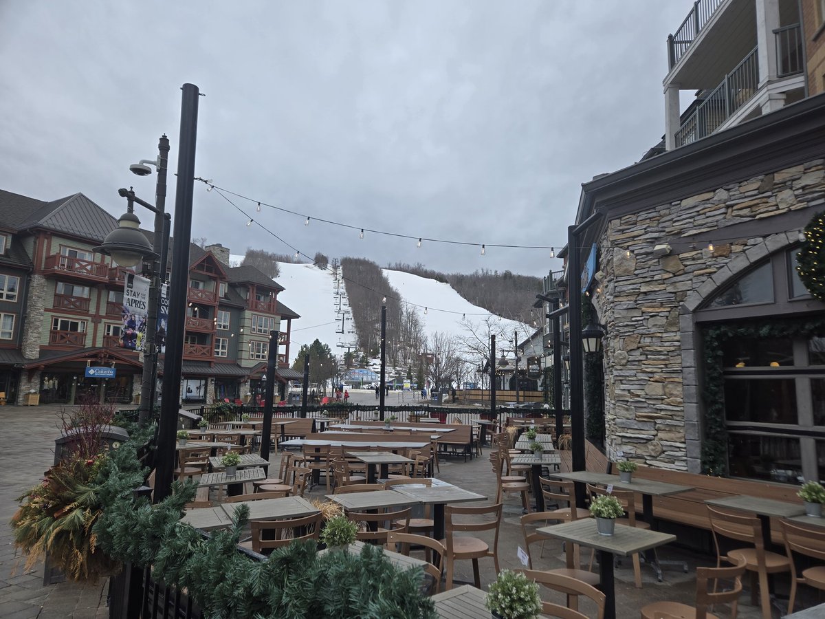 Josh Inglis tweet media