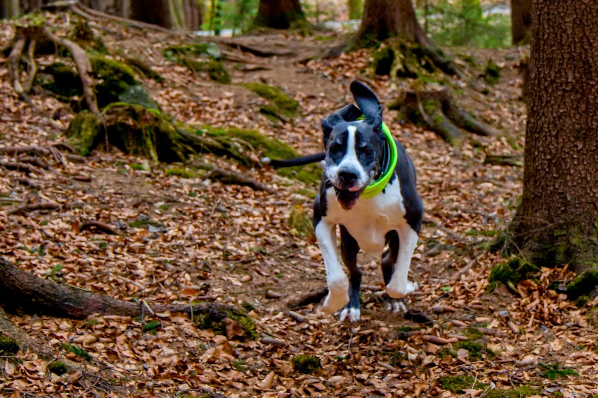I když se smutní, musí se ven. A ono tam to jaro fakt je