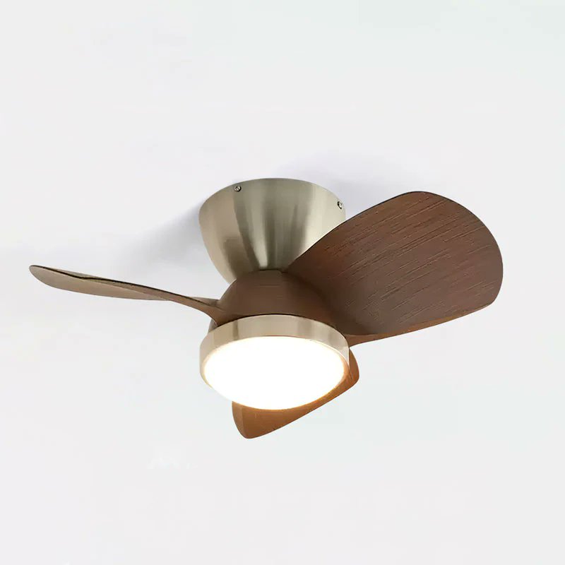 Avarietyofgifts's tweet image. Arilia Ceiling Fan Light giftsforyounme.com/products/arili… #ceilingfan #fan #homedecor #fanlight
