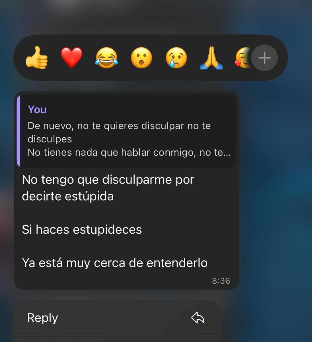 okay papá 👍🏼 gracias bro