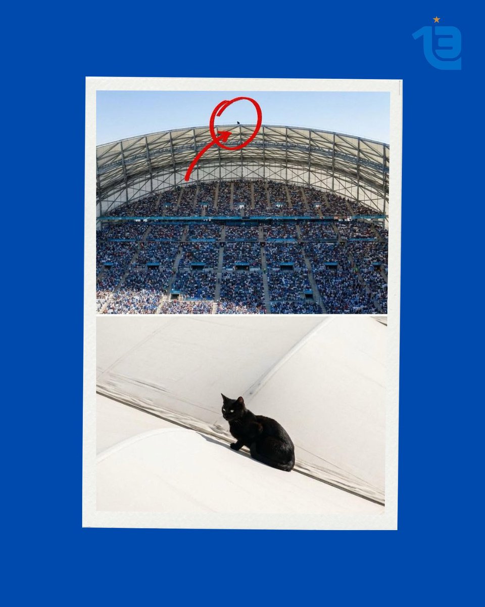 Treize013 tweet media