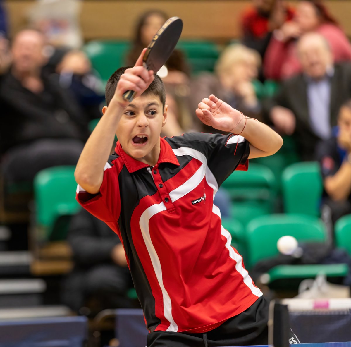Table Tennis England tweet media