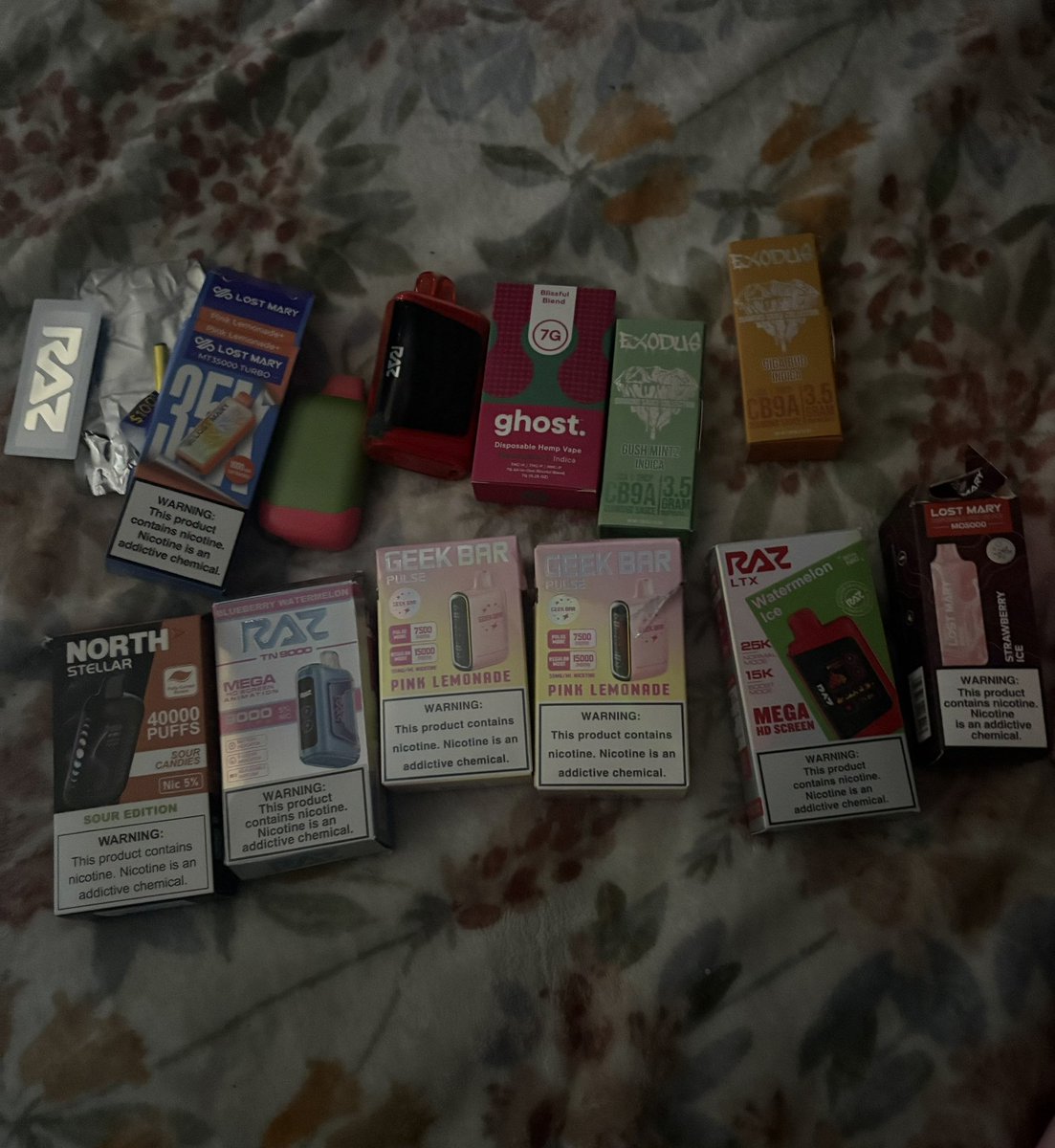 seki ⋆゚⊹ shedtwt tweet media