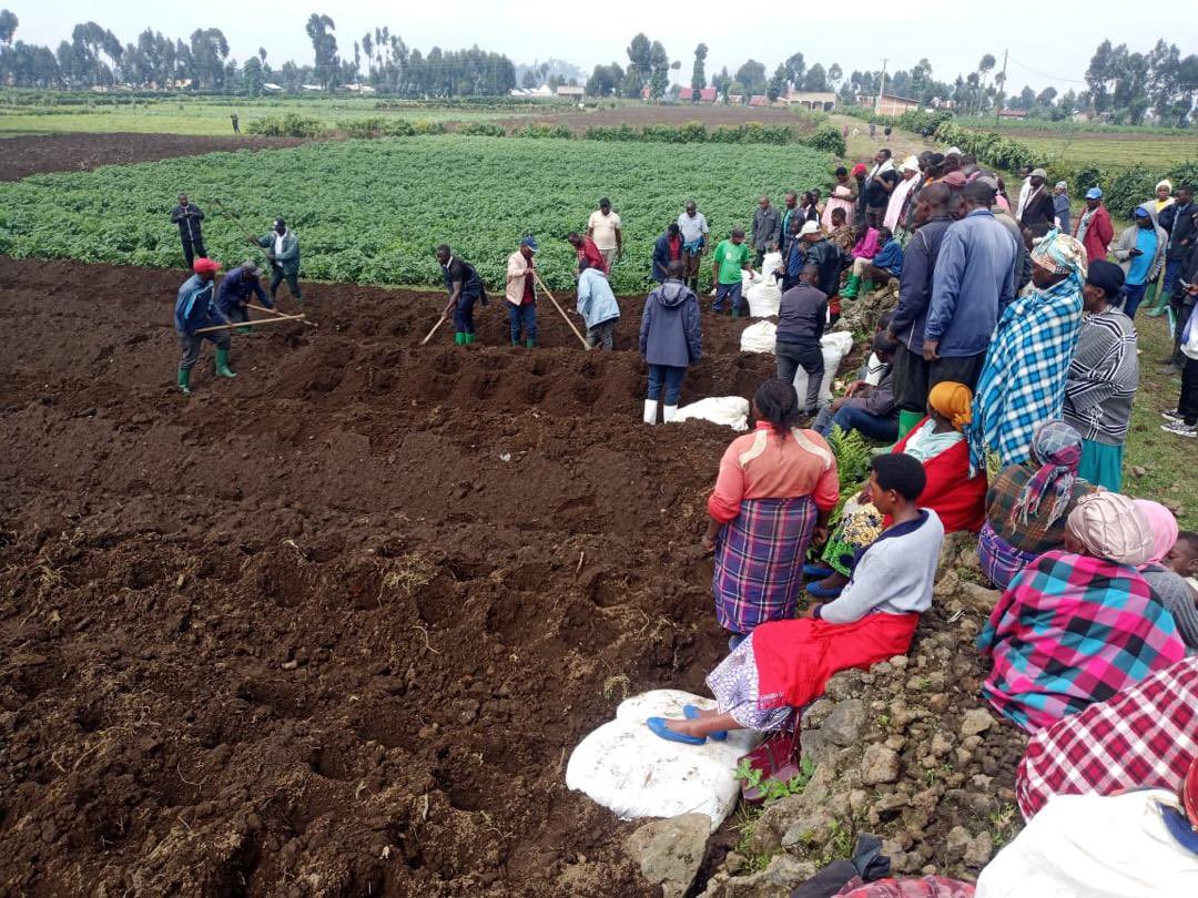 MUDENDE SECTOR tweet media