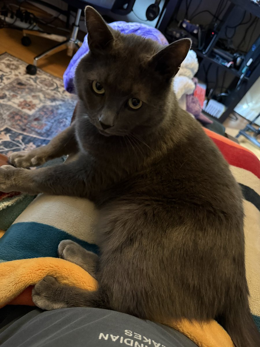 GabMott ➡️ FRLG tweet media