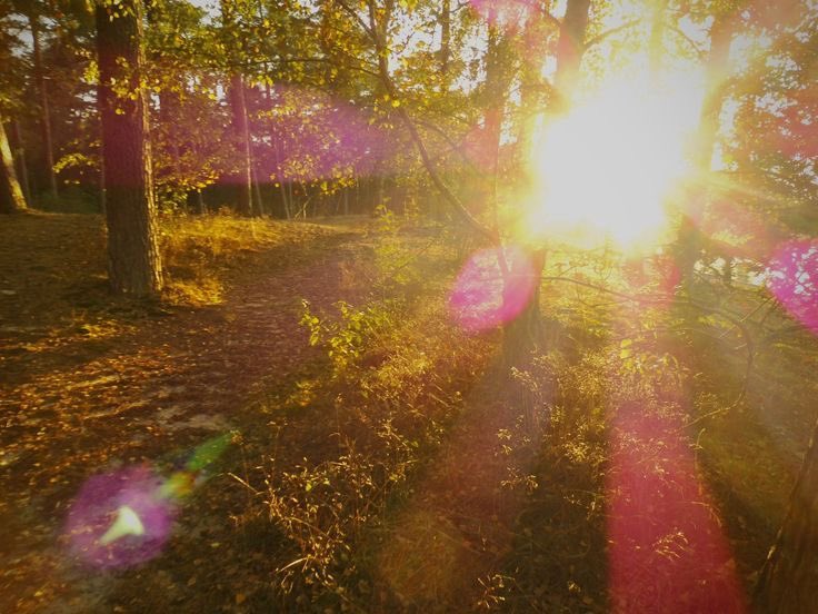 seraphicxc's tweet photo. I want life to feel like this https://t.co/gxPyHGJvFc